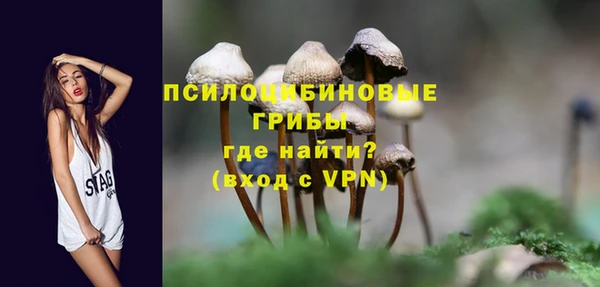 гидропоника Кукмор